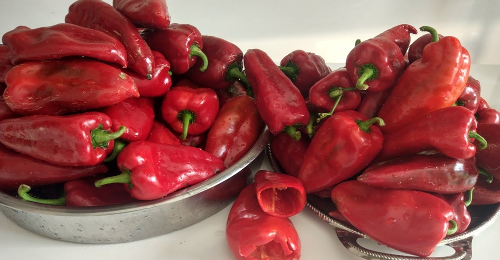 TUZ YOK🤚EZBER BOZAN TARİF,UNUTUN BİLDİKLERİNİZİ, HİÇ BİR YERDE YOK